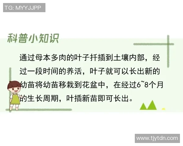 从无名小卒到全球冠军的奋斗历程与心路历程分享